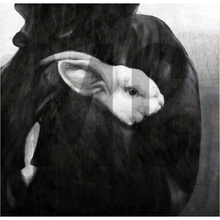 Load image into Gallery viewer, &quot;Animal Liberation&quot; (Rabbit) Giclée Print
