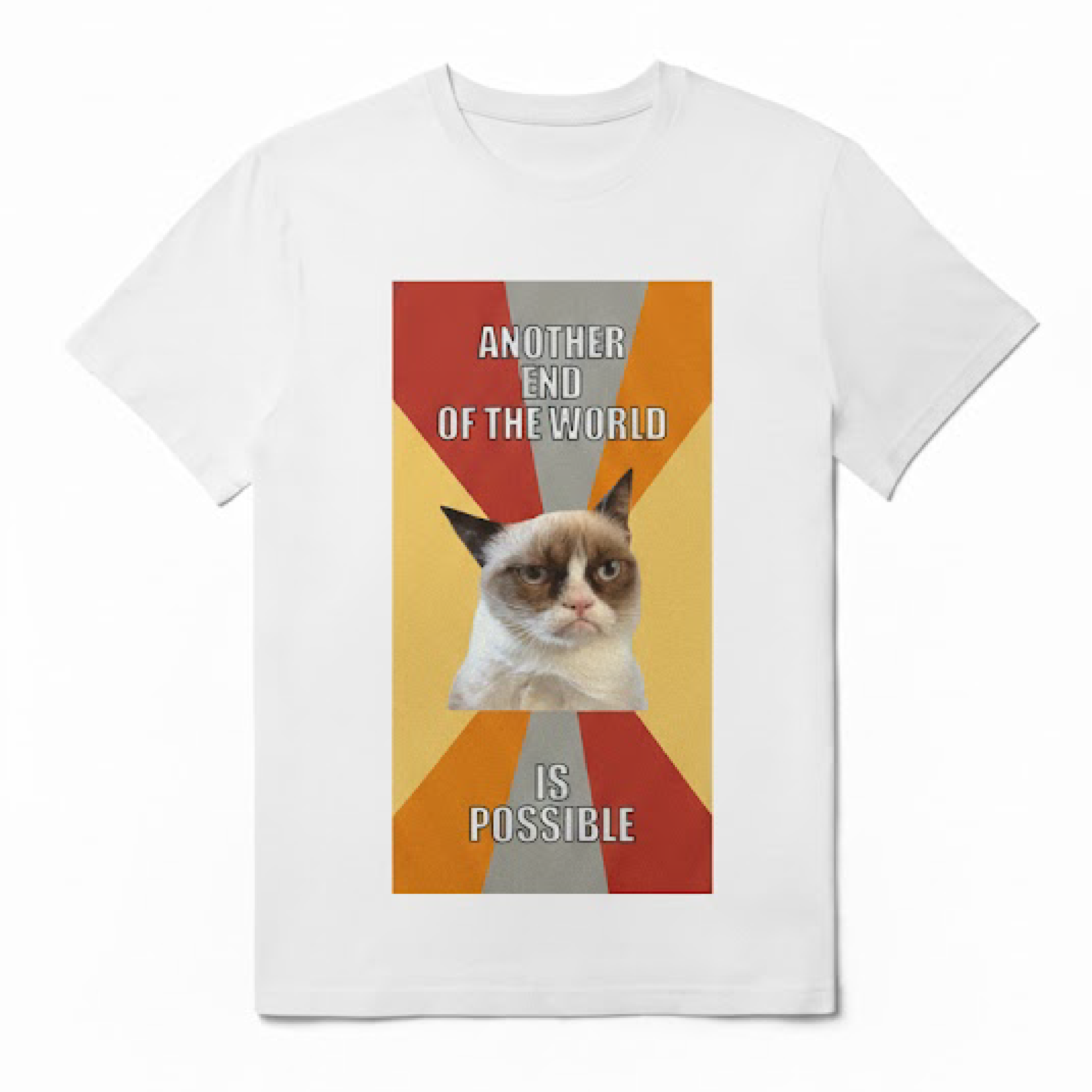 Memes ANOTHER END OF THE WORLD IS POSSIBLE T-Shirt